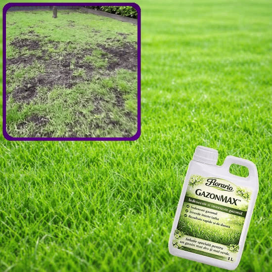 Soluție Îngrășământ Gazon - GazonMAX™
